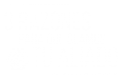 landin caparazones-01